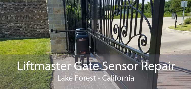 Liftmaster Gate Sensor Repair Lake Forest - California
