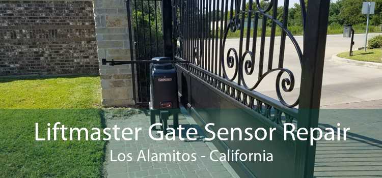 Liftmaster Gate Sensor Repair Los Alamitos - California