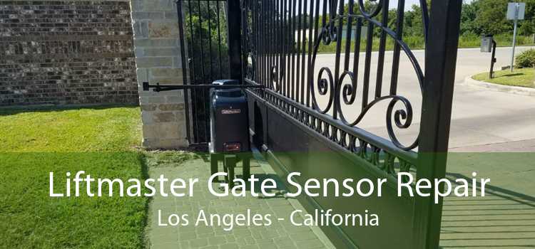 Liftmaster Gate Sensor Repair Los Angeles - California