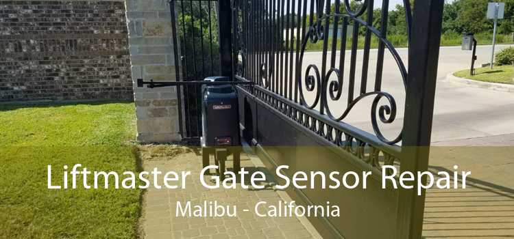 Liftmaster Gate Sensor Repair Malibu - California