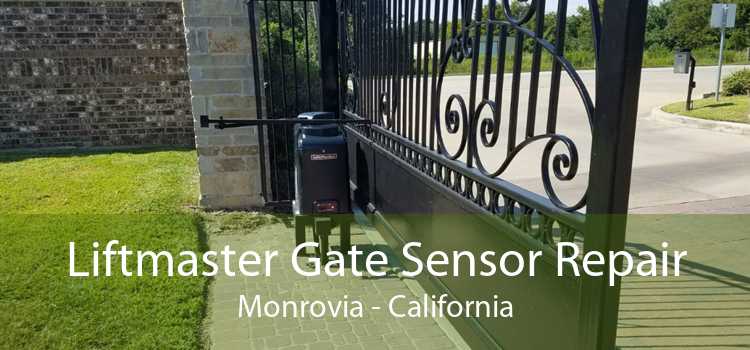 Liftmaster Gate Sensor Repair Monrovia - California