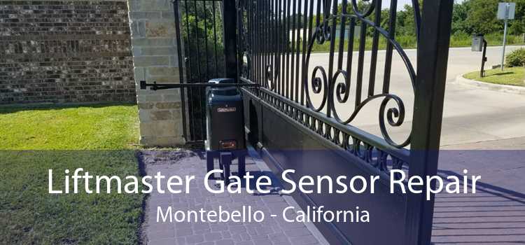 Liftmaster Gate Sensor Repair Montebello - California