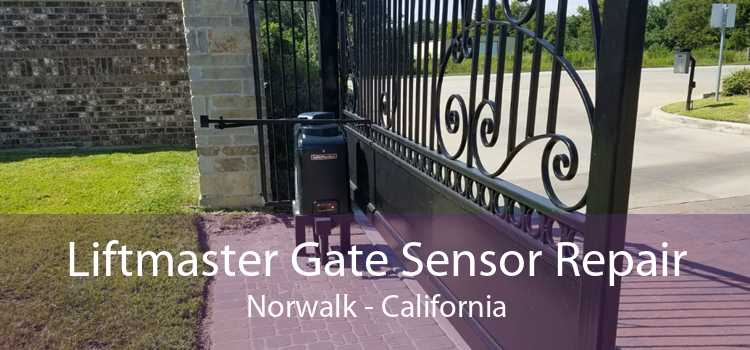 Liftmaster Gate Sensor Repair Norwalk - California
