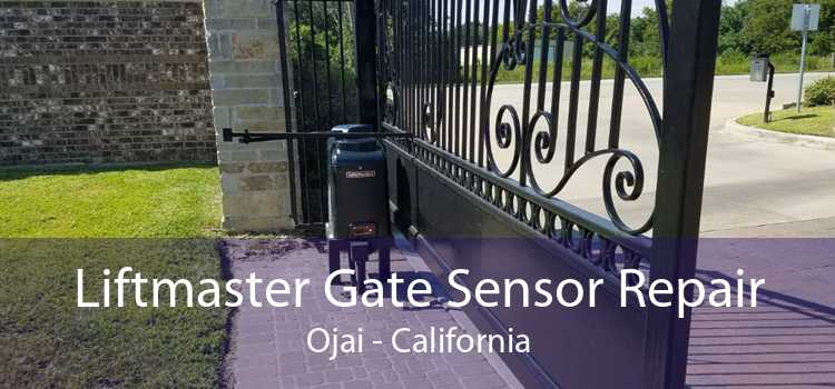 Liftmaster Gate Sensor Repair Ojai - California