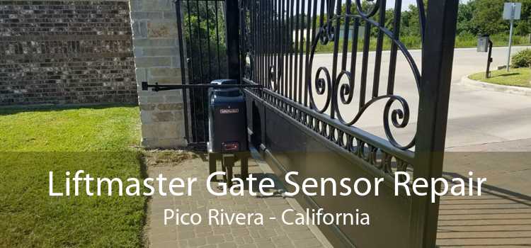 Liftmaster Gate Sensor Repair Pico Rivera - California