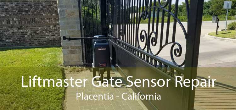 Liftmaster Gate Sensor Repair Placentia - California