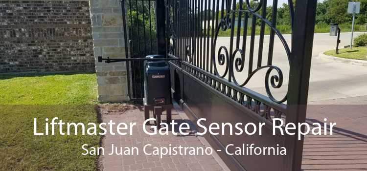Liftmaster Gate Sensor Repair San Juan Capistrano - California