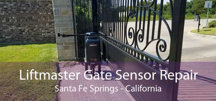 Liftmaster Gate Sensor Repair Santa Fe Springs - California