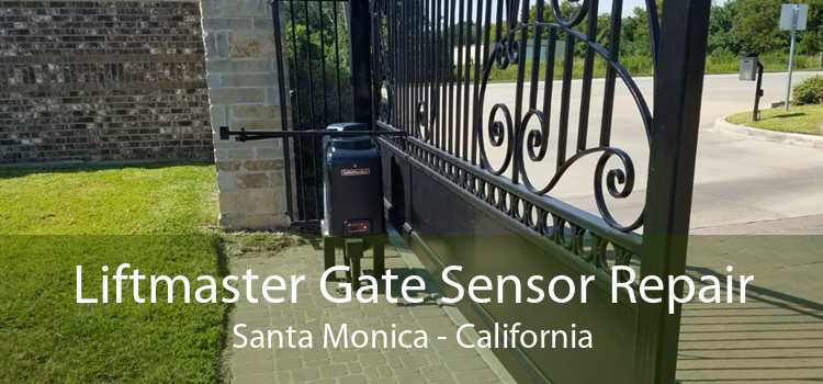 Liftmaster Gate Sensor Repair Santa Monica - California