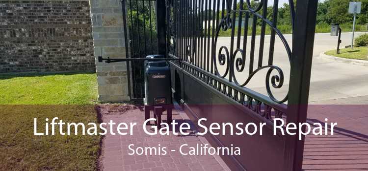 Liftmaster Gate Sensor Repair Somis - California