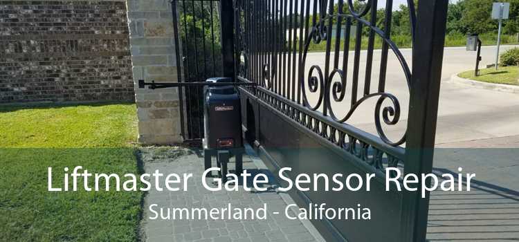 Liftmaster Gate Sensor Repair Summerland - California