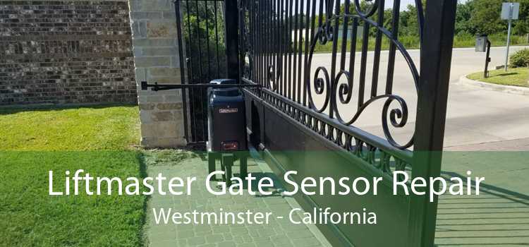 Liftmaster Gate Sensor Repair Westminster - California
