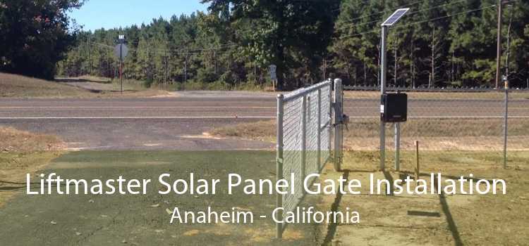 Liftmaster Solar Panel Gate Installation Anaheim - California