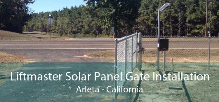 Liftmaster Solar Panel Gate Installation Arleta - California