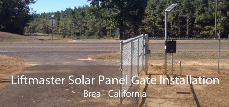 Liftmaster Solar Panel Gate Installation Brea - California