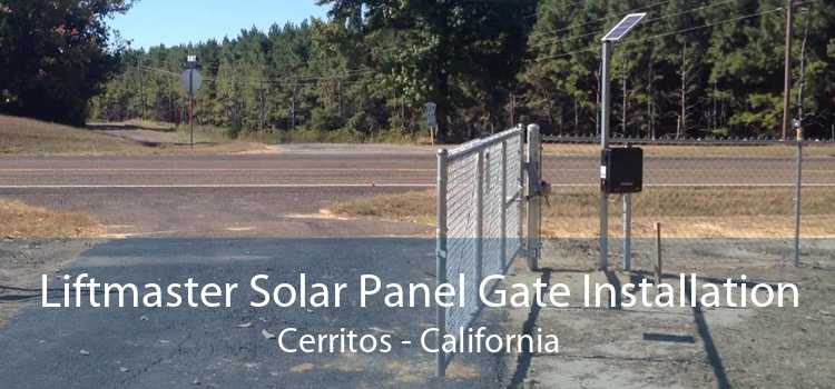 Liftmaster Solar Panel Gate Installation Cerritos - California