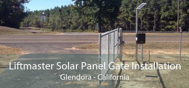 Liftmaster Solar Panel Gate Installation Glendora - California