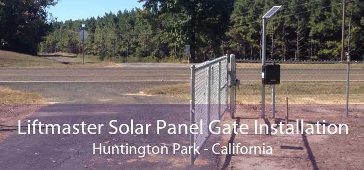 Liftmaster Solar Panel Gate Installation Huntington Park - California