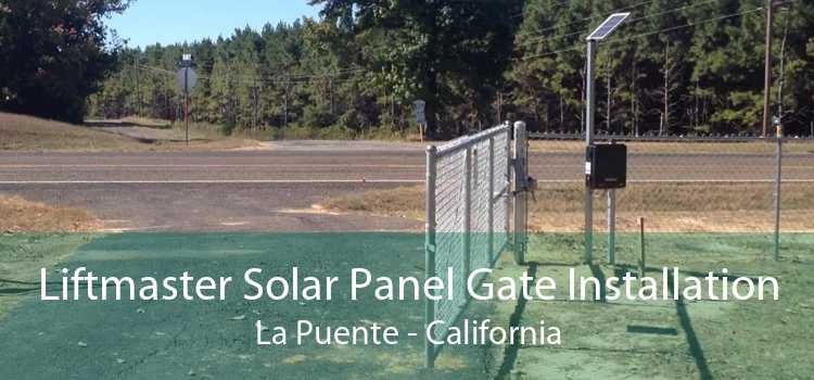 Liftmaster Solar Panel Gate Installation La Puente - California