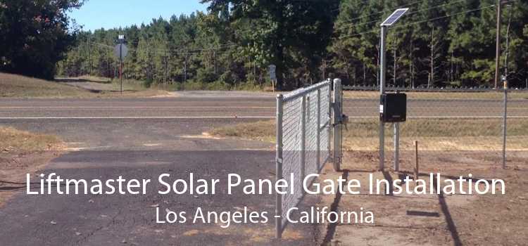 Liftmaster Solar Panel Gate Installation Los Angeles - California