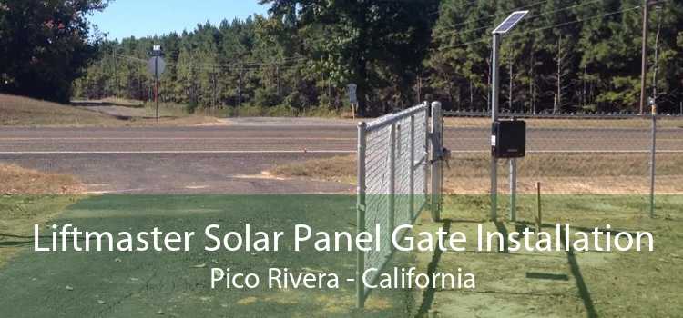 Liftmaster Solar Panel Gate Installation Pico Rivera - California