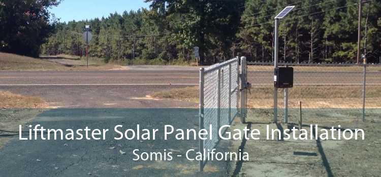 Liftmaster Solar Panel Gate Installation Somis - California