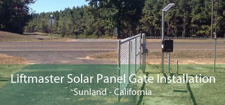Liftmaster Solar Panel Gate Installation Sunland - California