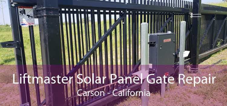 Liftmaster Solar Panel Gate Repair Carson - California