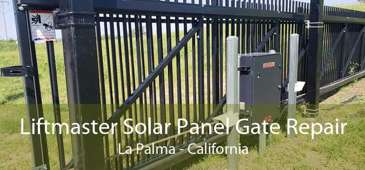Liftmaster Solar Panel Gate Repair La Palma - California