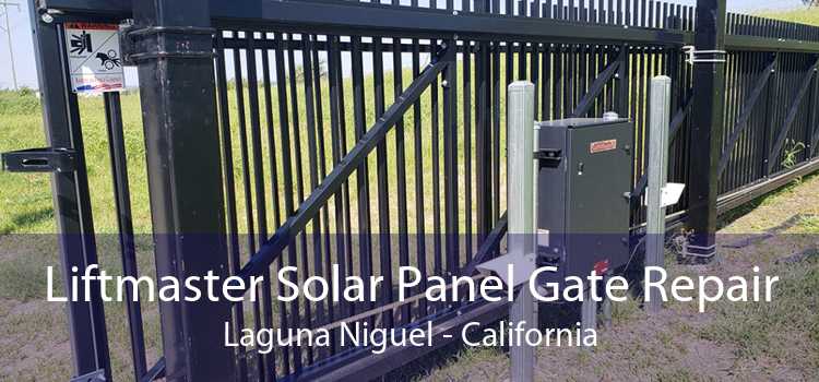 Liftmaster Solar Panel Gate Repair Laguna Niguel - California