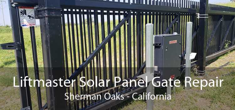 Liftmaster Solar Panel Gate Repair Sherman Oaks - California