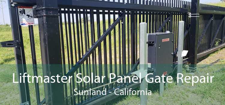 Liftmaster Solar Panel Gate Repair Sunland - California